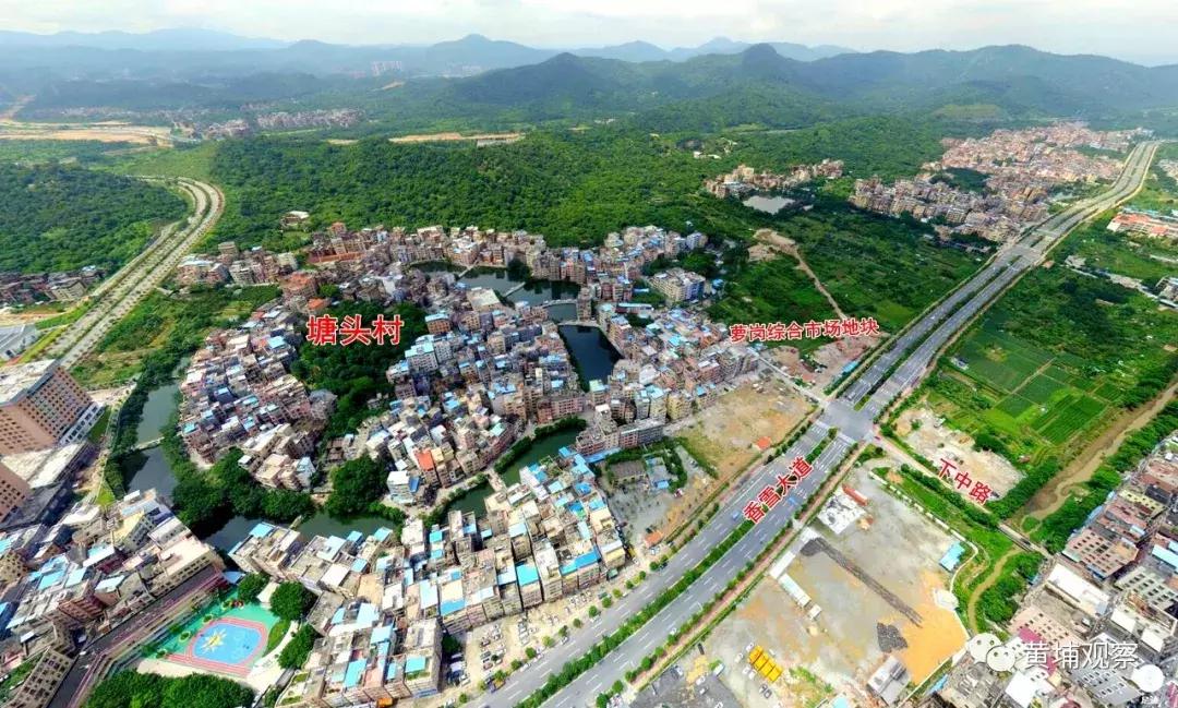 广州市萝岗农贸批发综合市场,广州黄埔区萝岗农贸市场