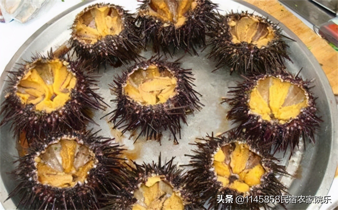 长岛老林渔家,山东长岛渔家乐