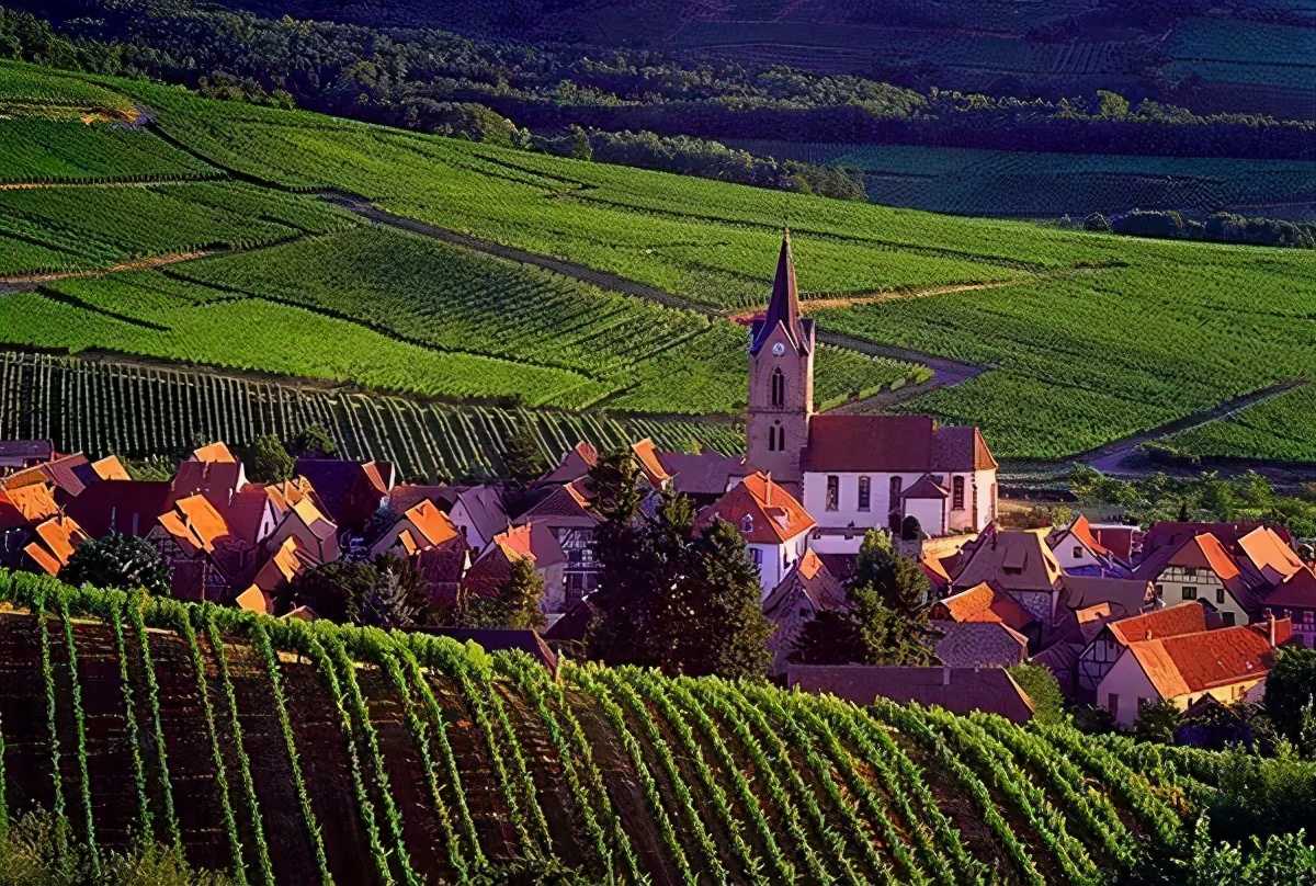 被日常乳法的法国真是弱鸡吗