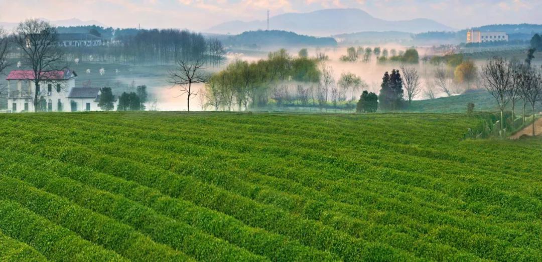 南昌真的要火了吗,南昌即将发展的地方