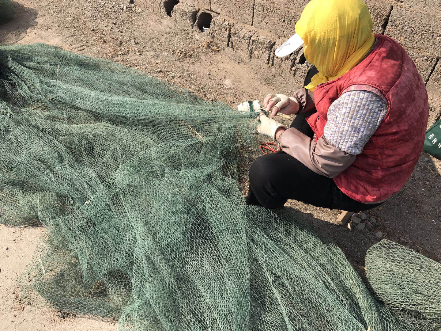 在海边做什么工作赚钱,在海边做什么工作最赚钱