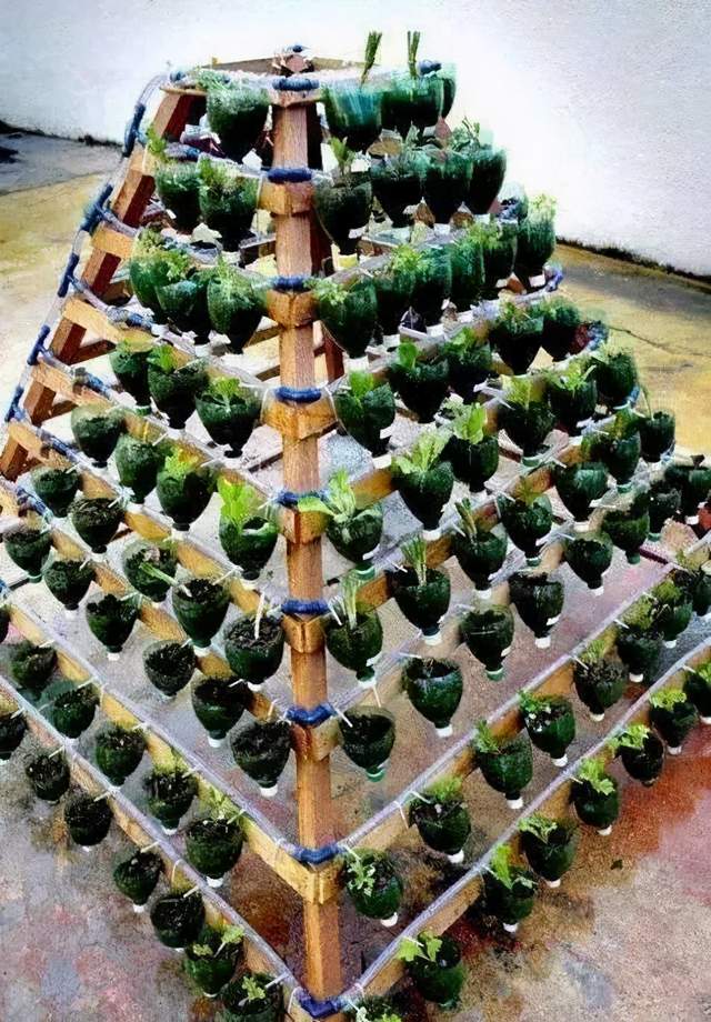 塑料瓶做家里可以用的东西,用塑料瓶做家里又漂亮又好的东西