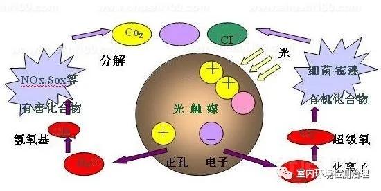 希望树光触媒除甲醛喷雾有用吗,日本光触媒除甲醛靠谱吗