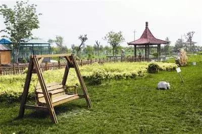 绿色美丽的生态环境,津南绿色生态