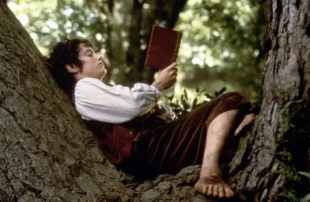 指环王最难看的镜头,指环王十大bug