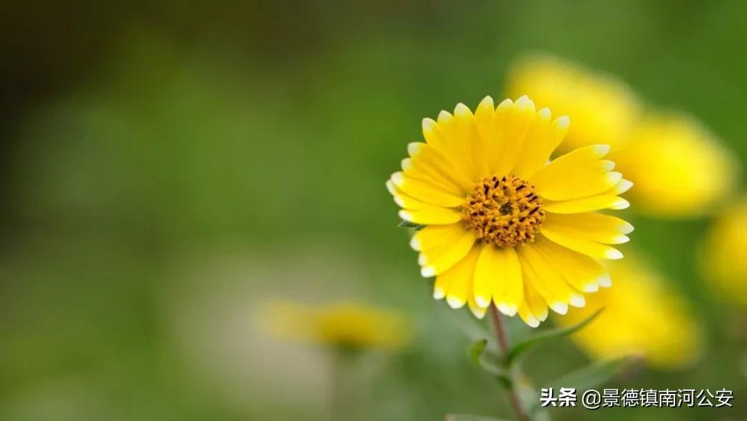 愿你过得好的诗词,苦尽甘来不负年华不负卿什么意思