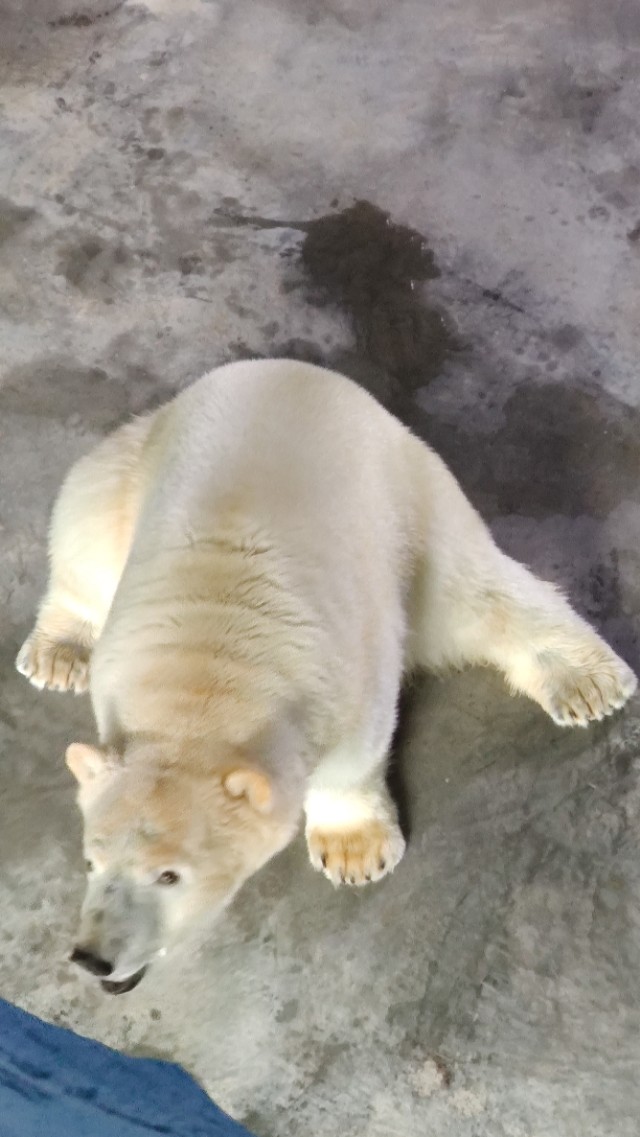 福州欧乐堡海洋世界家庭套票团购,福州欧乐堡海洋世界门票价格