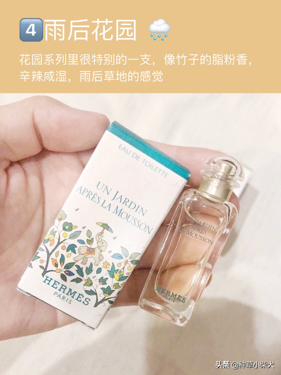 爱马仕律动二十四淡香水 (爱马仕蓝色橘彩星光香水)