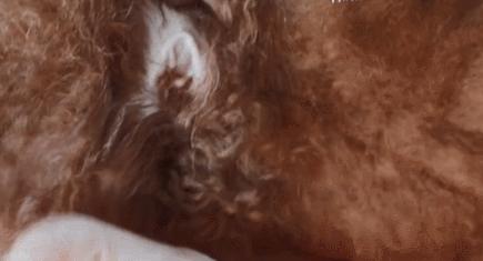 疫情怎么帮娃洗澡,疫情期间怎样在家洗澡