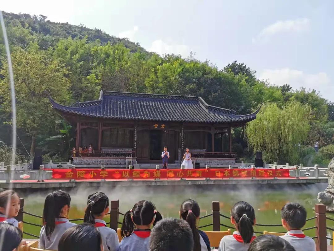 南京市金陵小学简介,南京市金陵小学多少个班