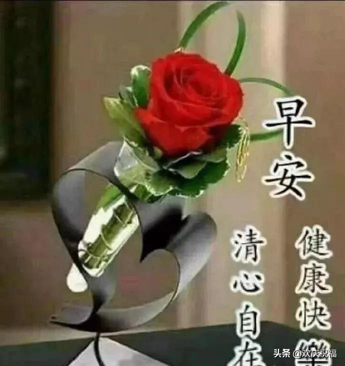 微信朋友圈早安励志说说带图片,发朋友圈的句子正能量阳光带图片