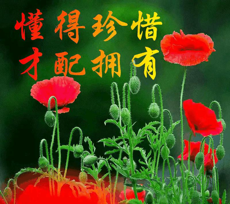 励志金句经典语录300句,励志座右铭八个字经典语录