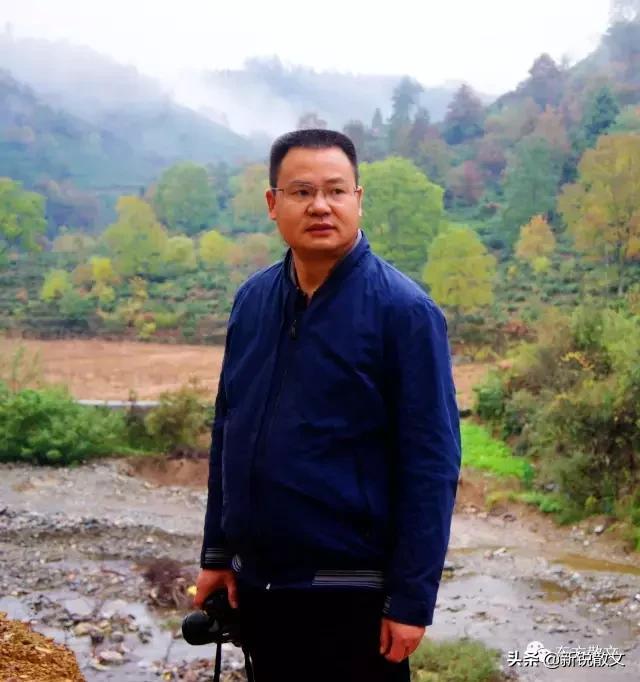 城市的颜色特点,城市里的色彩是什么