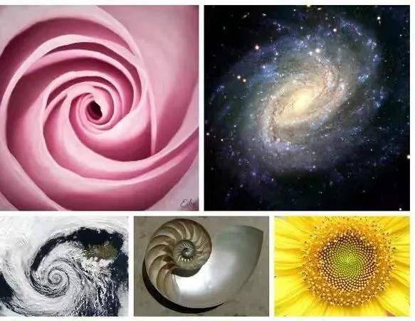 宇宙中神奇的数字,自然常数e的物理意义