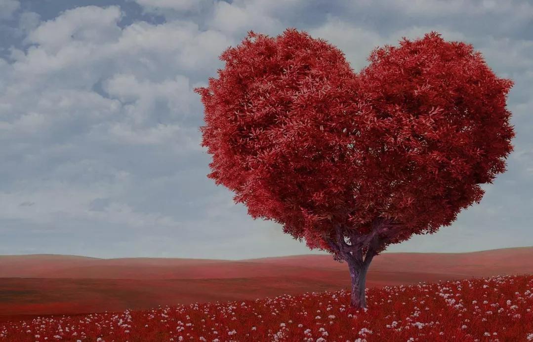 双手合十愿你心无挂碍平平安安,双手合十愿你安好