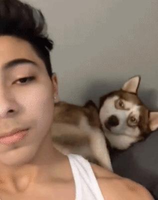 这个手势代表什么意思,中指无名指弯曲这个手势什么意思