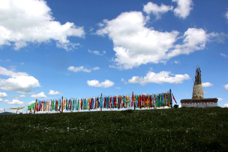 故地重游若尔盖草原美丽依旧,重游若尔盖红原大草原