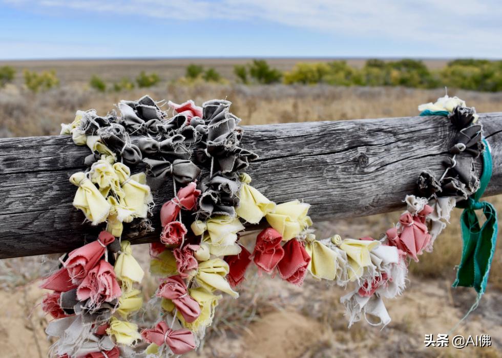 美洲原住民部落分布图,美国最牛印第安部落