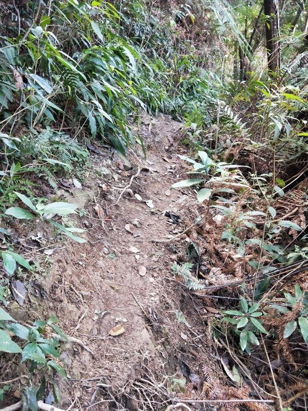 columbia哥伦比亚徒步鞋测评,哥伦比亚户外徒步鞋测评