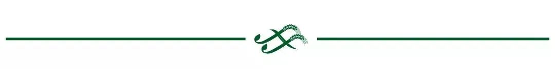 朗泉5050合并功放机,朗泉5050合并功放二手