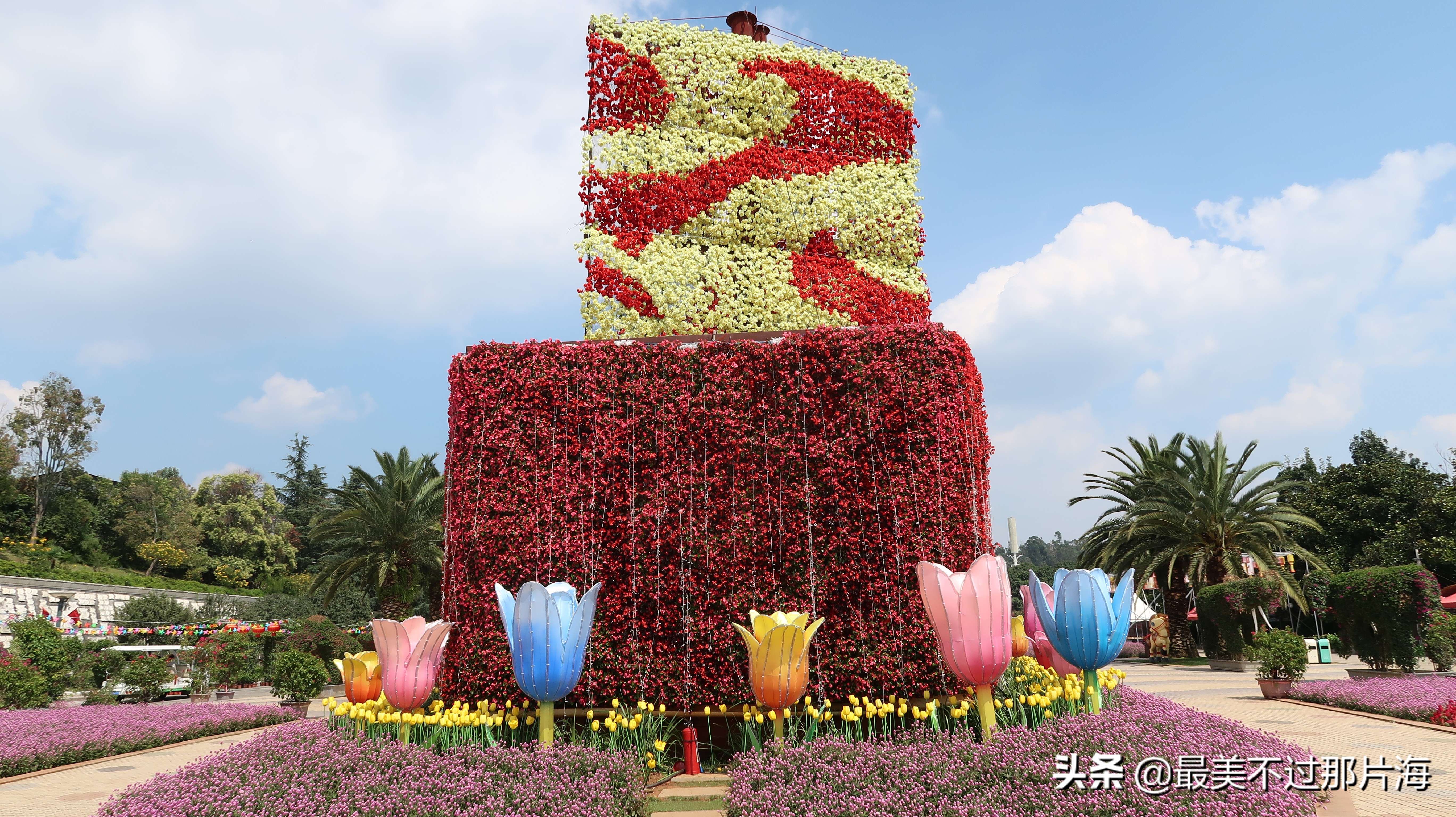 昆明世博园和云南大观园游玩攻略,昆明有个世博园四季如春好地方