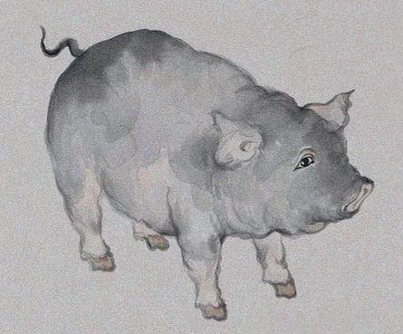 鼠年民间传说故事,关于春节传说故事习俗