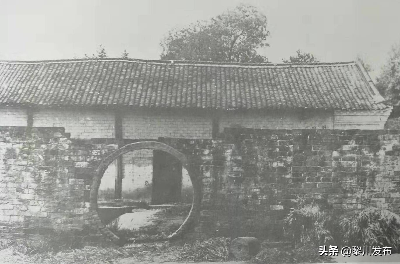 鄂豫皖革命根据地连环画,鄂豫皖革命根据地总指挥