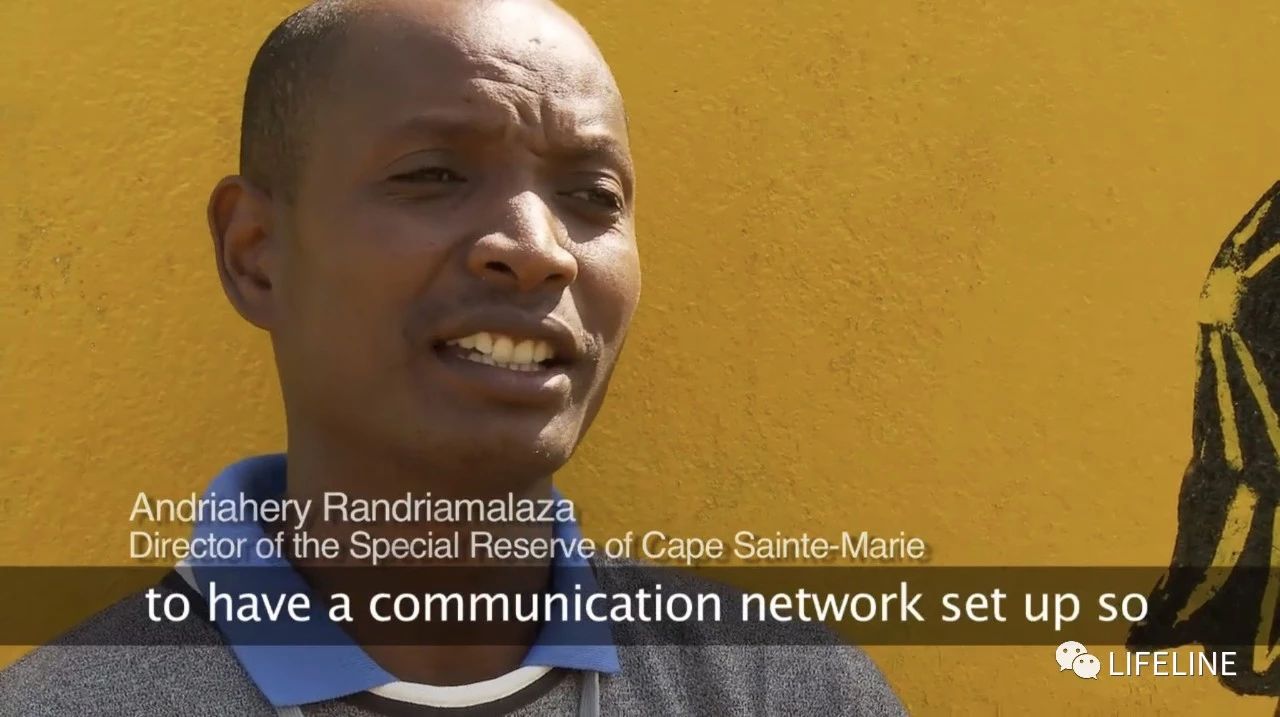 龟中“考拉”，请别让我们的孩子在博物馆见到它们...