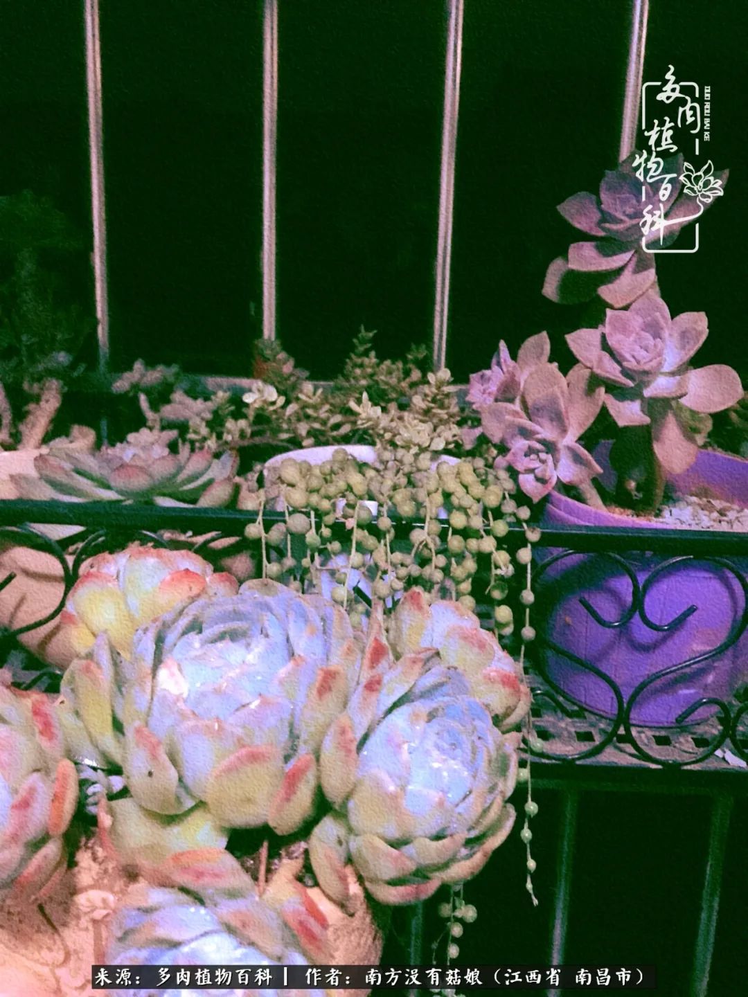 既见云胡不喜,既见君子云胡不喜毛笔楷书