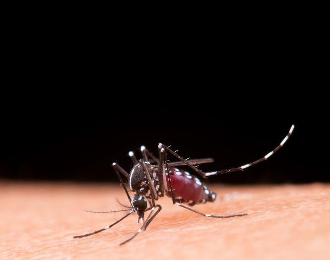 20件夏季驱蚊好物推荐,夏季驱蚊止痒好物分享