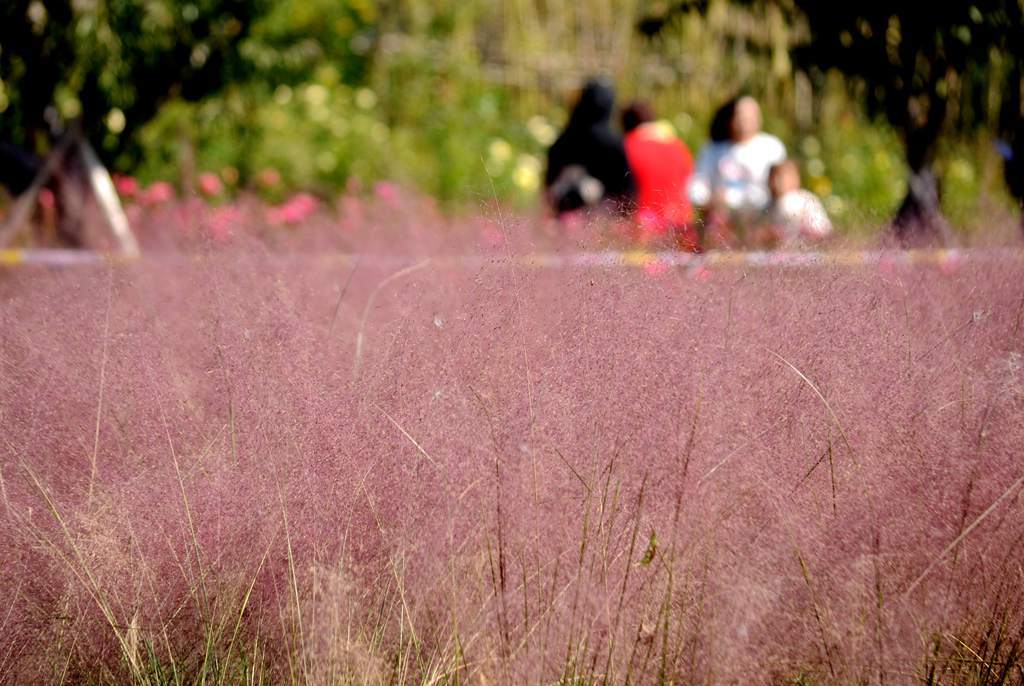 济源滨湖花园燃气,济源思礼镇滨河花园