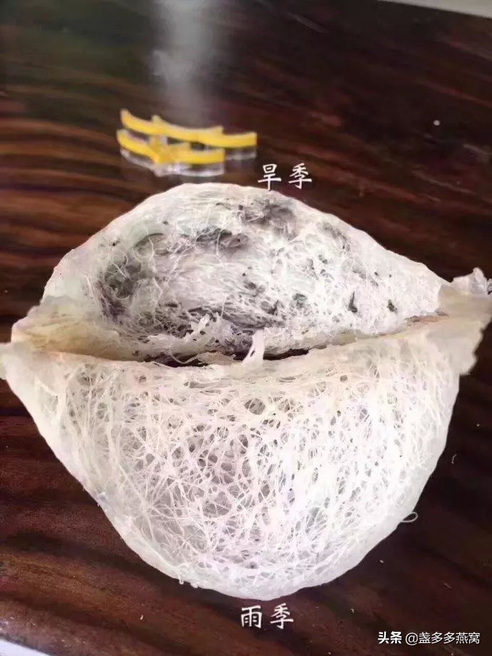 燕窝专业知识之燕窝的商品规格,燕窝知识科普燕窝是什么味道