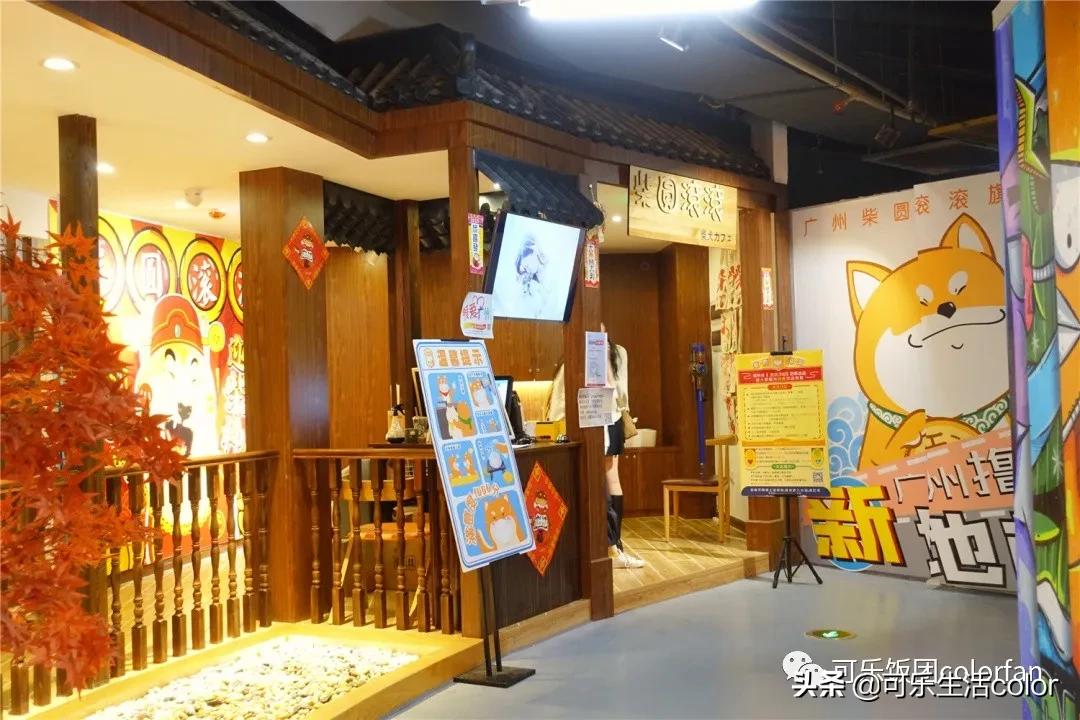 撸柴犬店广州,撸柴宠物乐园