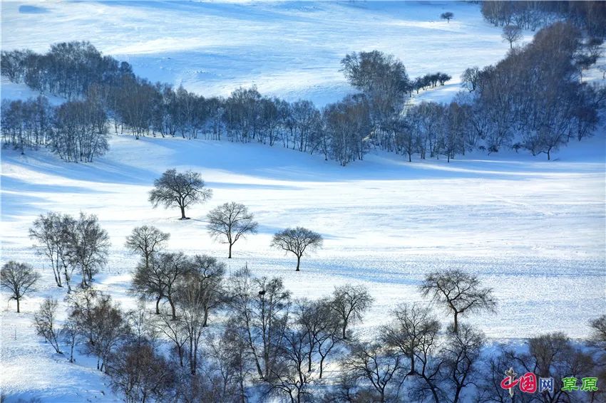 一起去看美丽的坝上草原,秋季坝上草原游记