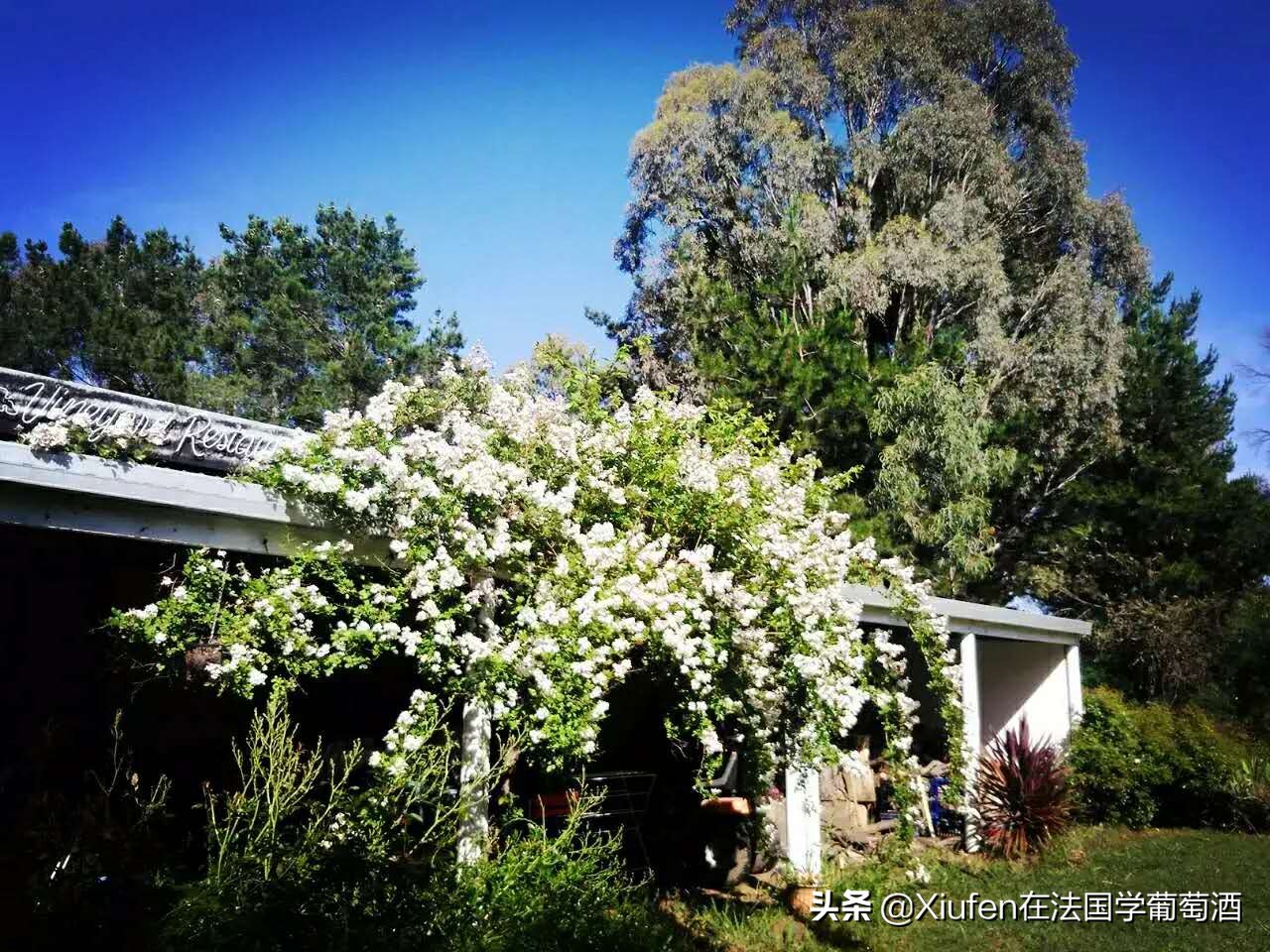 旅行教会我的几件事,旅行治愈我的一切