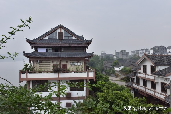 林森完整版免费观看,林森完整视频