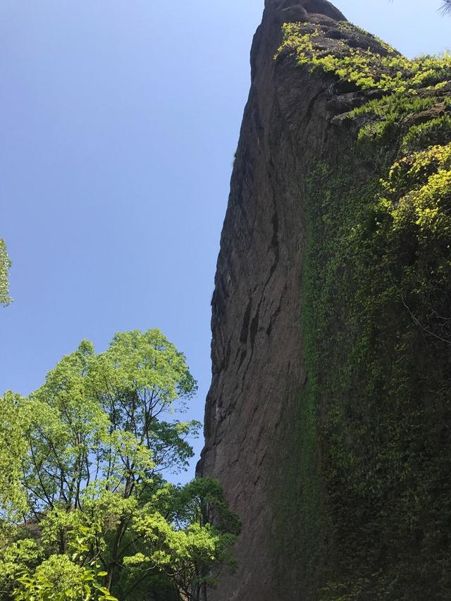 典型的丹霞地貌有碧水丹山之美誉,俯瞰丹霞地貌鬼斧神工令人惊叹