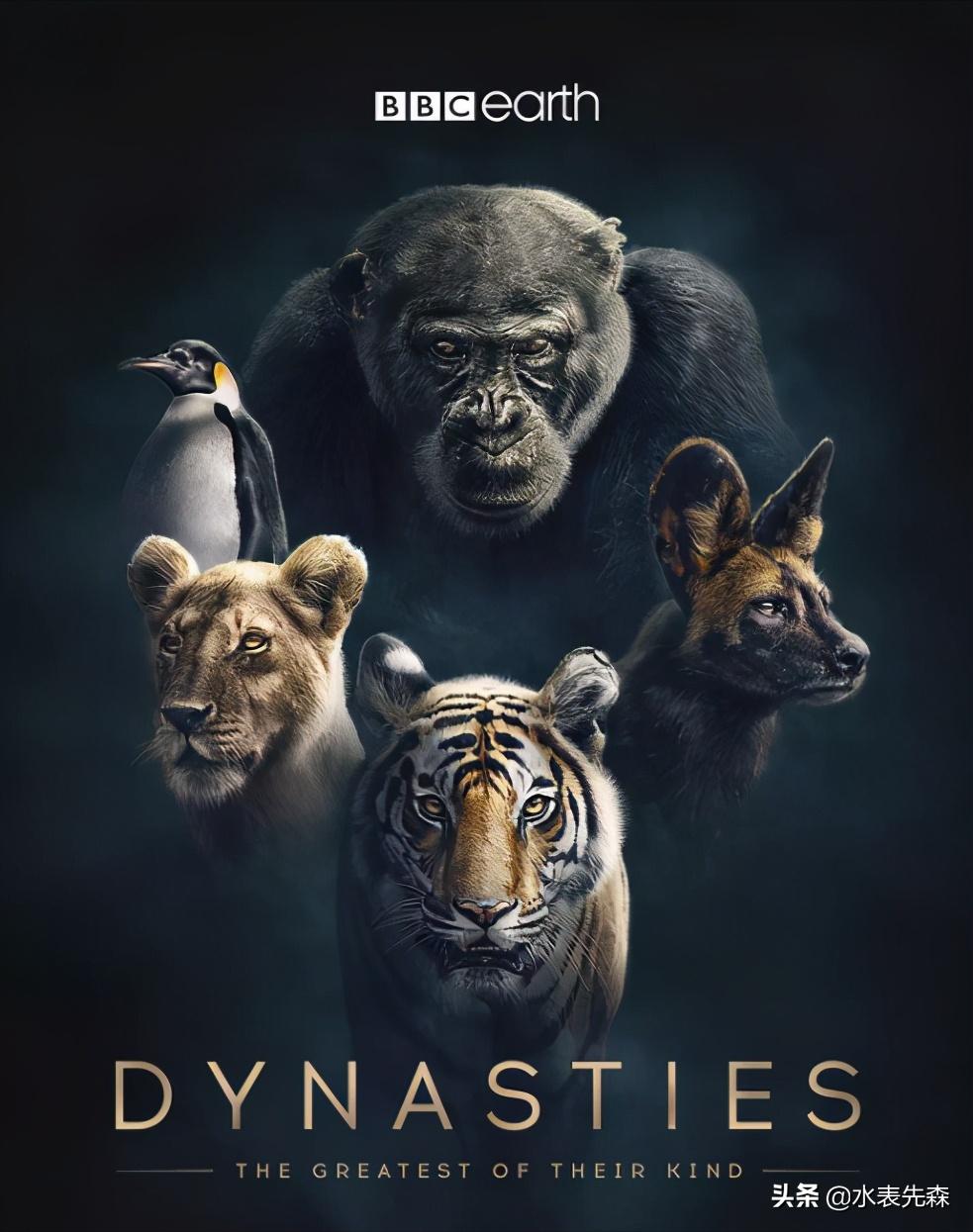 十部必看高分纪录片,十大必看的高分纪录片