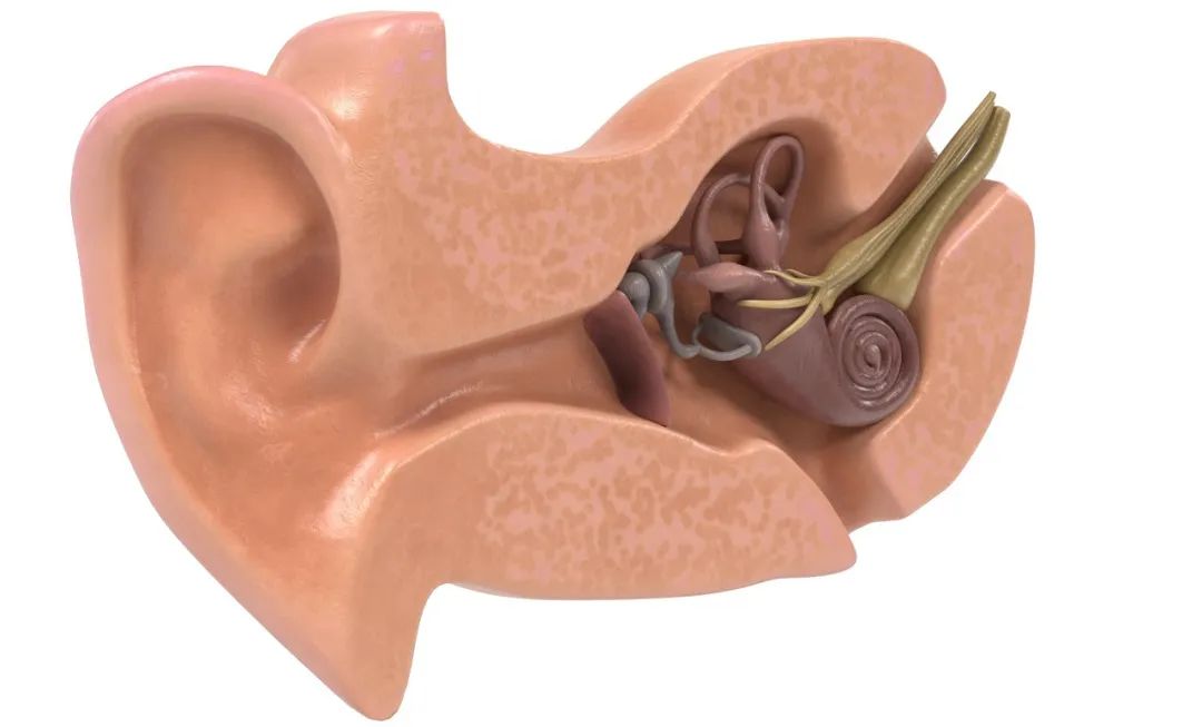 一天到晚晕晕乎乎的一身没力气,一天到晚晕晕沉沉的感觉很累