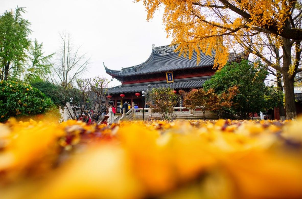 南京为什么叫金陵城视频,南京为何很多地方叫金陵