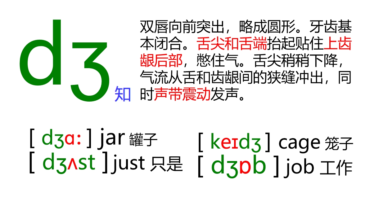 48张国际音标卡片大号,音标48个卡片