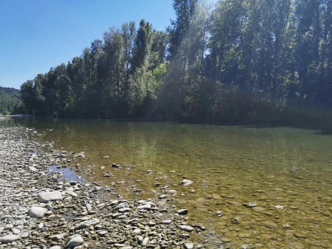 我的留学故事第1集,我的留学故事视频