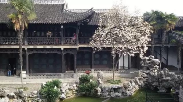 南通赏樱,江苏樱花景区介绍