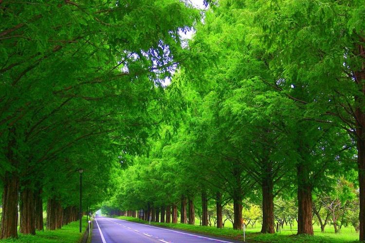 最美盛夏歌曲视频,最美初夏诗词大全