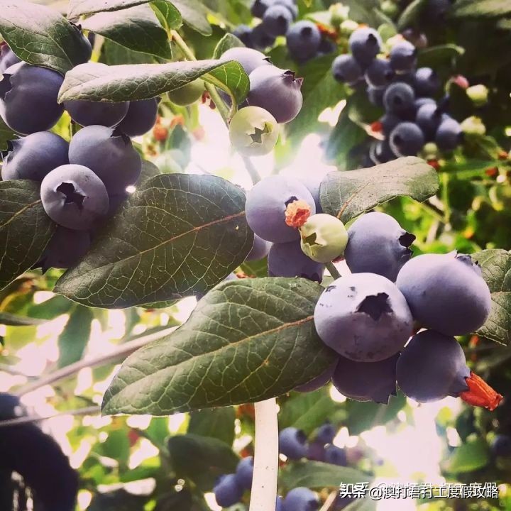 十大在家最挣钱的工作,去做什么工作才是最赚钱的