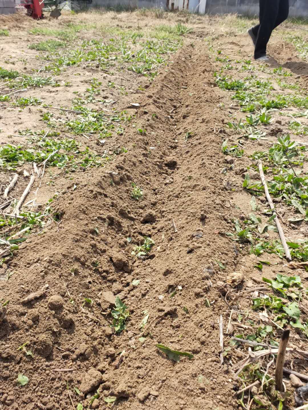 农民的除草神器,大家都用哪款除草机