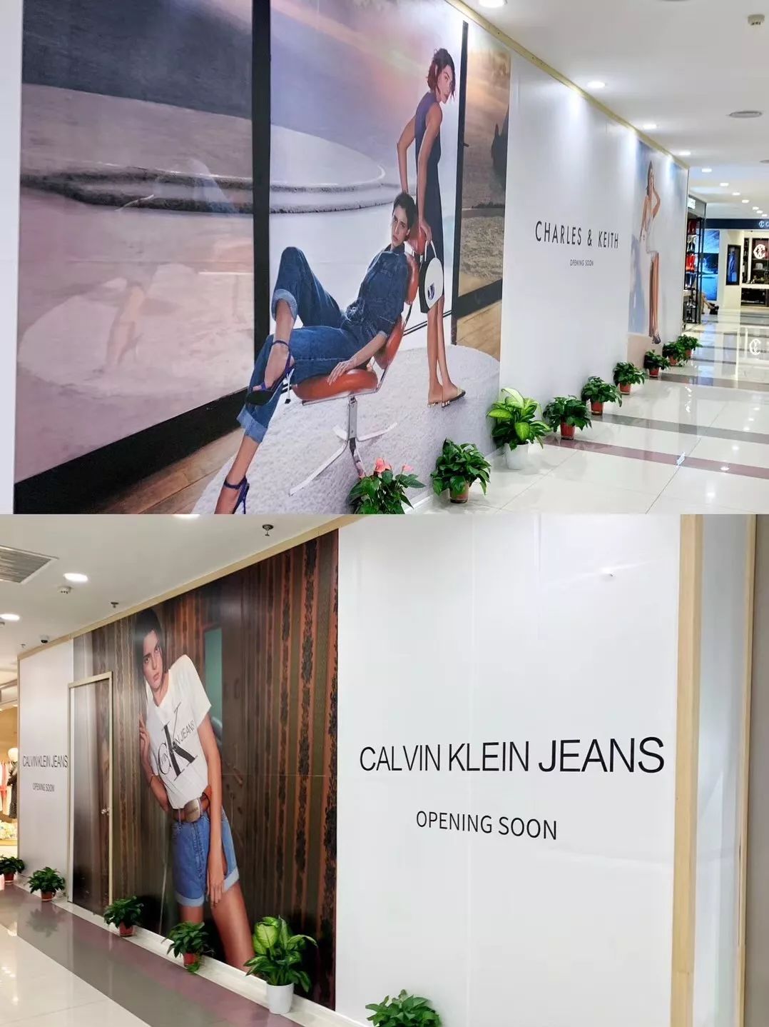 西安赛格品牌大升级！瑞幸和COACH做邻居，西安商业8月迷幻现实