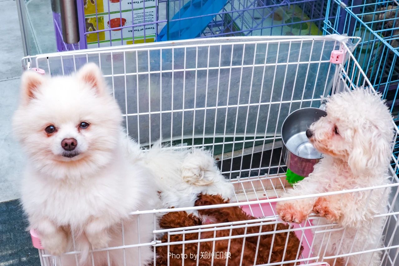 现在郑州去哪买东西,郑州人购物选哪