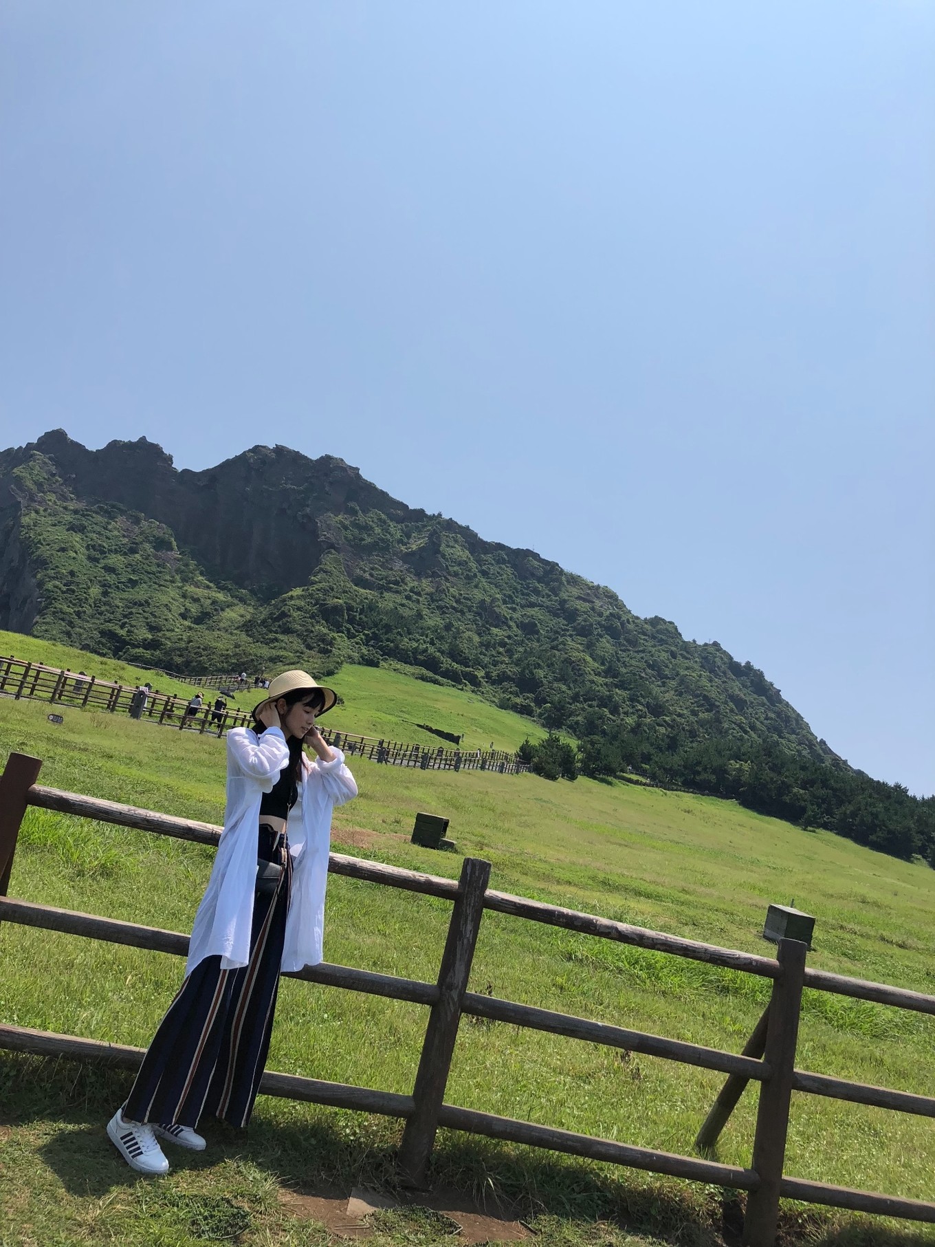 不会韩语去济州岛怎么自由行,济州岛两天旅行攻略