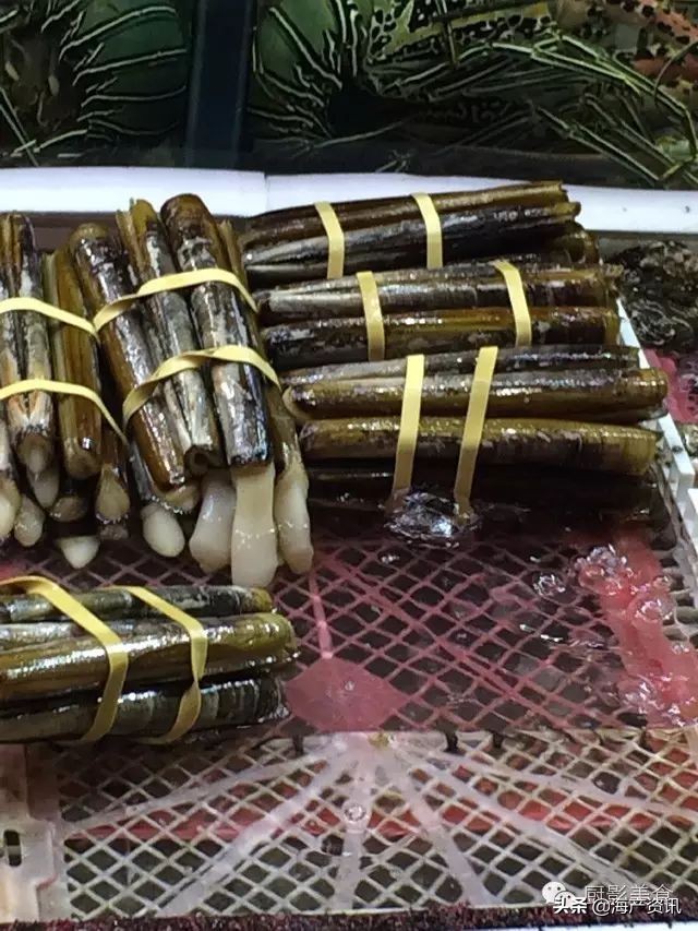 这些诱人的美食你吃过吗,世界上顶级海鲜大全你吃过几种